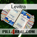 Levitra kamagra1